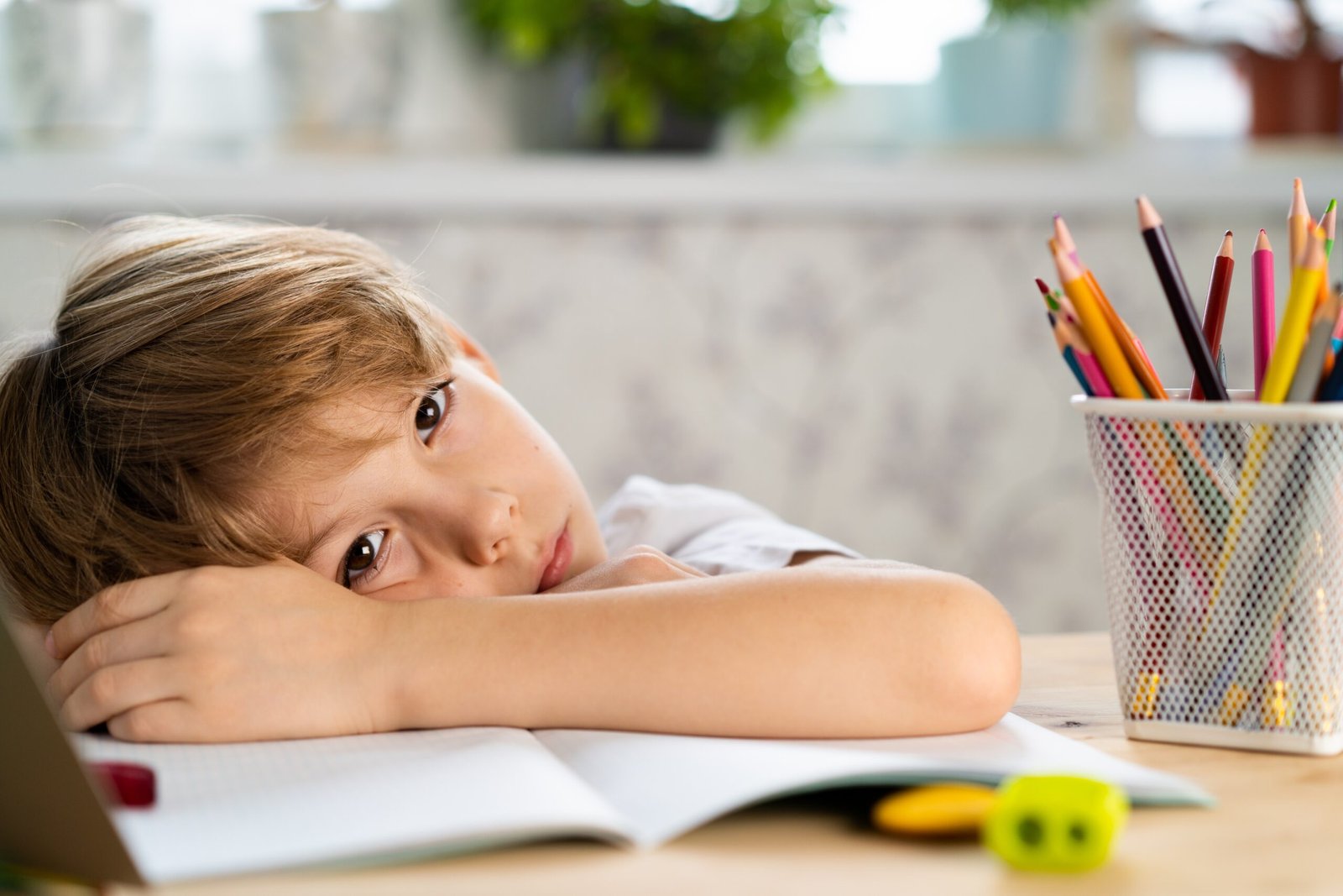 çankaya psikolog, cinnah psikolog