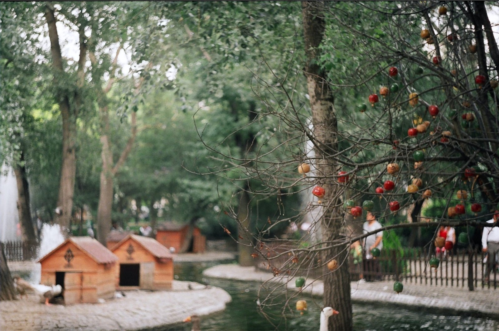 danışan,cinnah,psikolog,psikoloji,terapi,logo